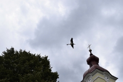 Fotografia: NAJ DEDINKA SLOVENSKA - nedeľa