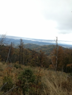 3. ročník Spomienkového turistického pochodu – fotografia 6