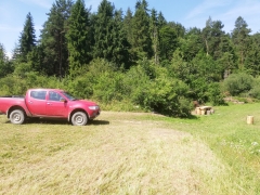Vykosenie a  mulčovanie časti pozemku pri "BAŇURI" Za skalkami – fotografia 1