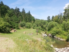 Vykosenie a  mulčovanie časti pozemku pri "BAŇURI" Za skalkami – fotografia 3