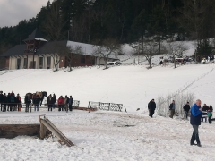 Furmanské preteky -  "Kamienska podkova" 15. ročník – fotografia 34