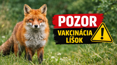 Orálna vakcinácia líšok proti besnote - jesenná kampaň 2026