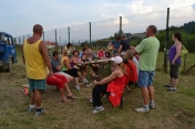 DUBNE CUP